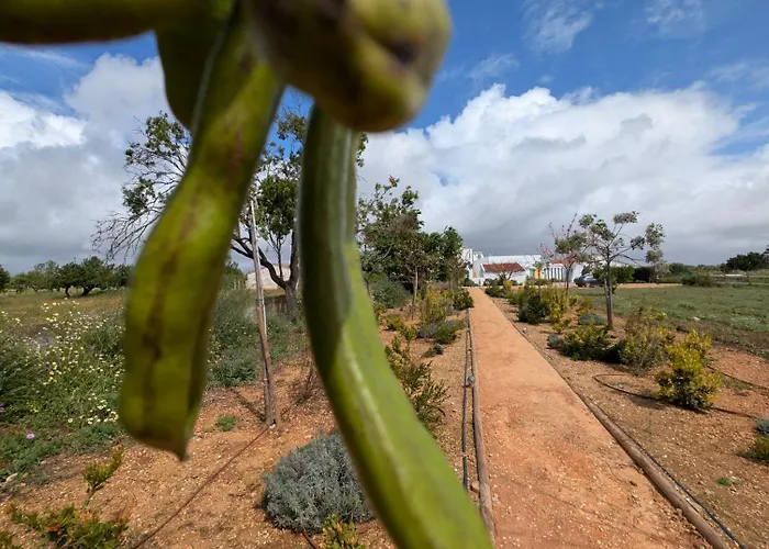 Ria Endless South - Barroca Village - Sitio Da Fortaleza *